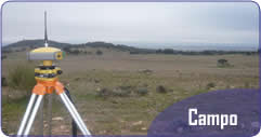 Campo