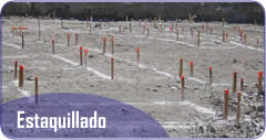 Estaquillado